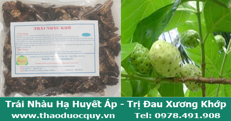 Tr&aacute;i nh&agrave;u